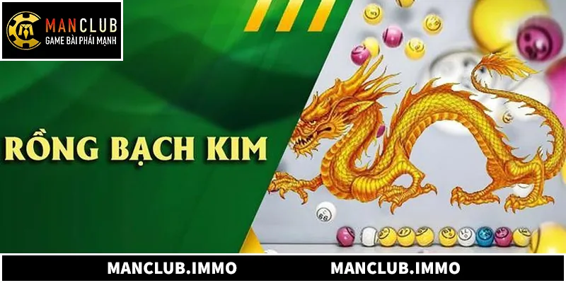 Khám phá về dàn đề rồng bạch kim